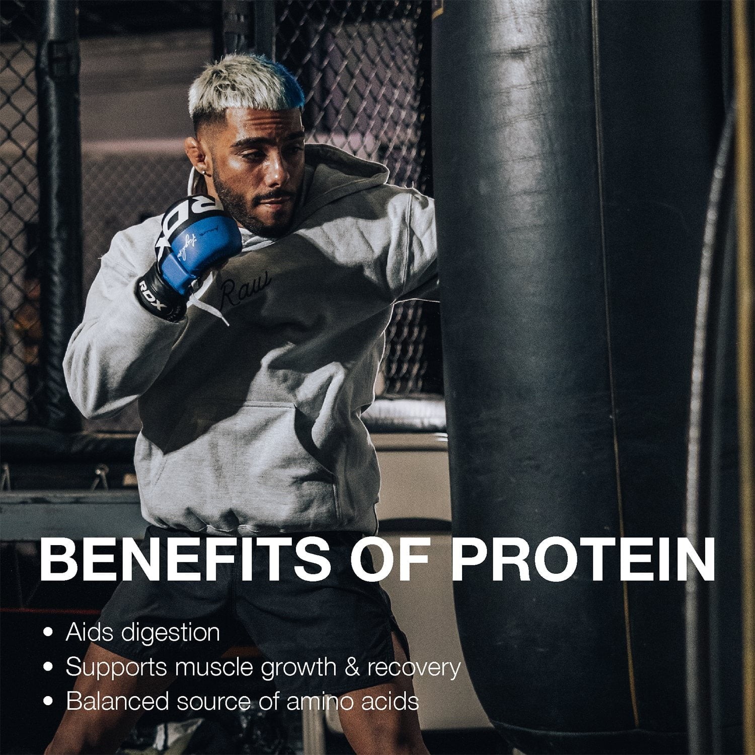 RAW 25g Grass Fed Whey Isolate Protein Powder, Dark Chocolate, 1.97 lbs.