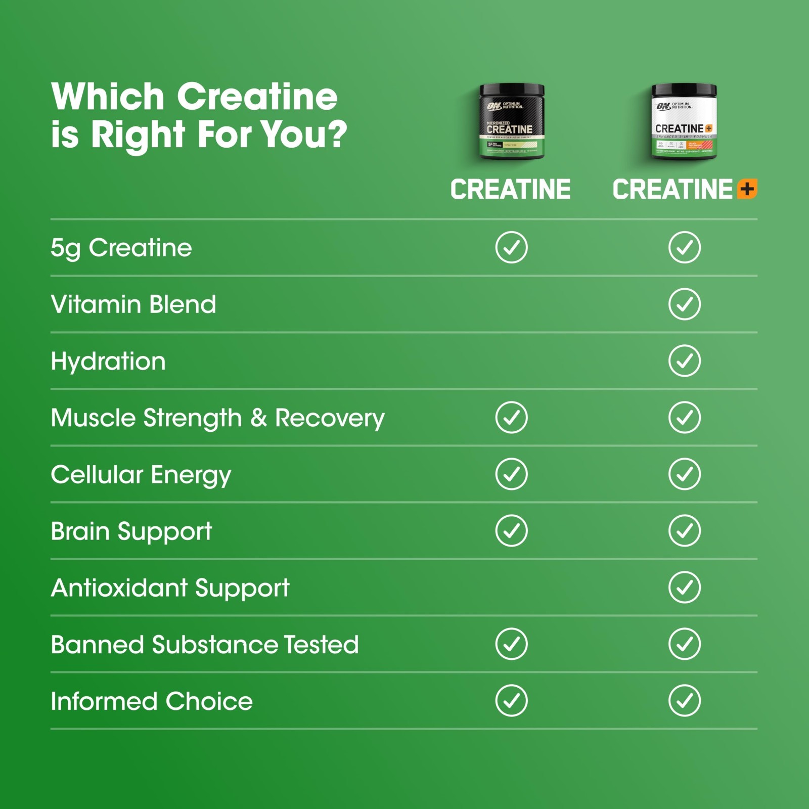 Micronized Creatine Monohydrate Powder – 5g per Serving, Supports Muscle Strengt