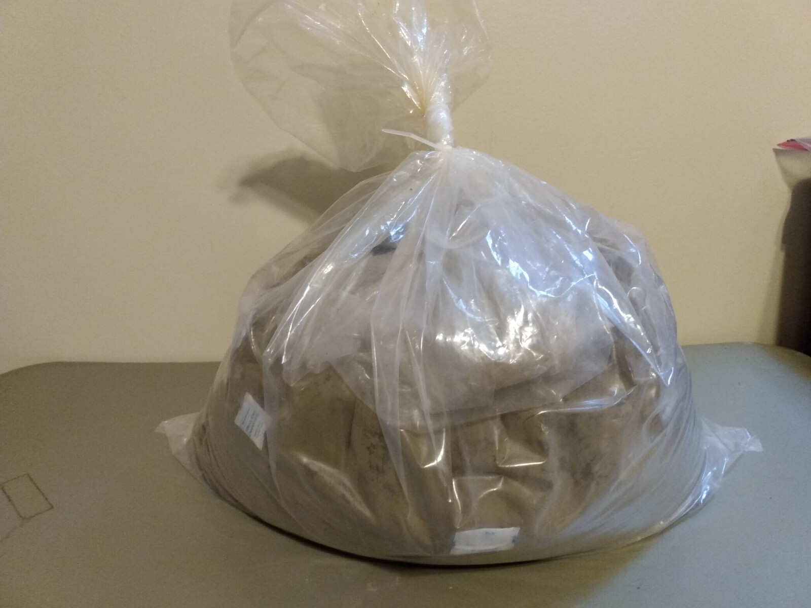 ~2.5 Kg Ajuga Turkestanica Extract. 10% Turkesterone.
