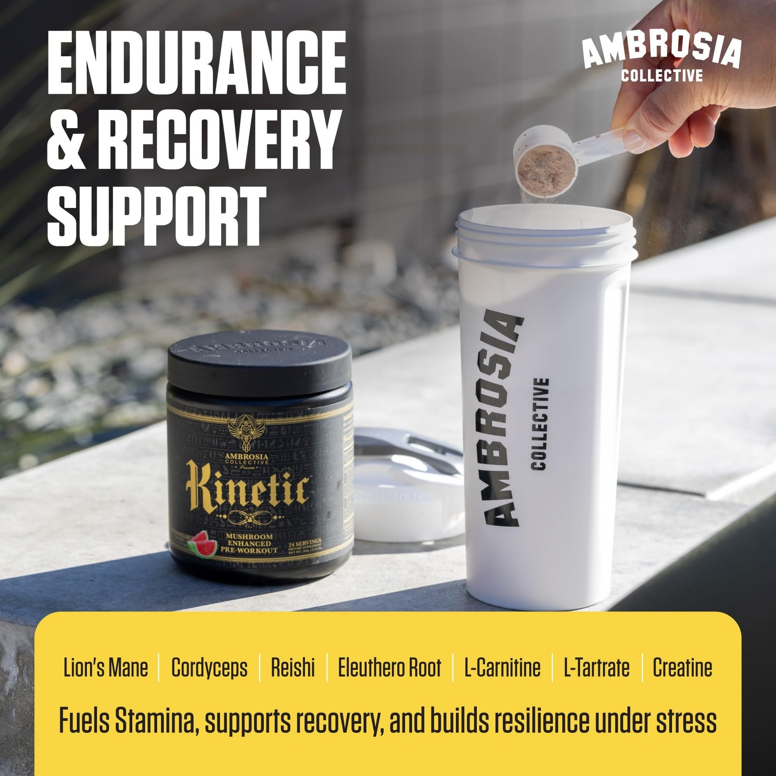 Ambrosia Kinetic – Organic Pre Workout Powder | Mushroom-Enhanced Natural Pre…