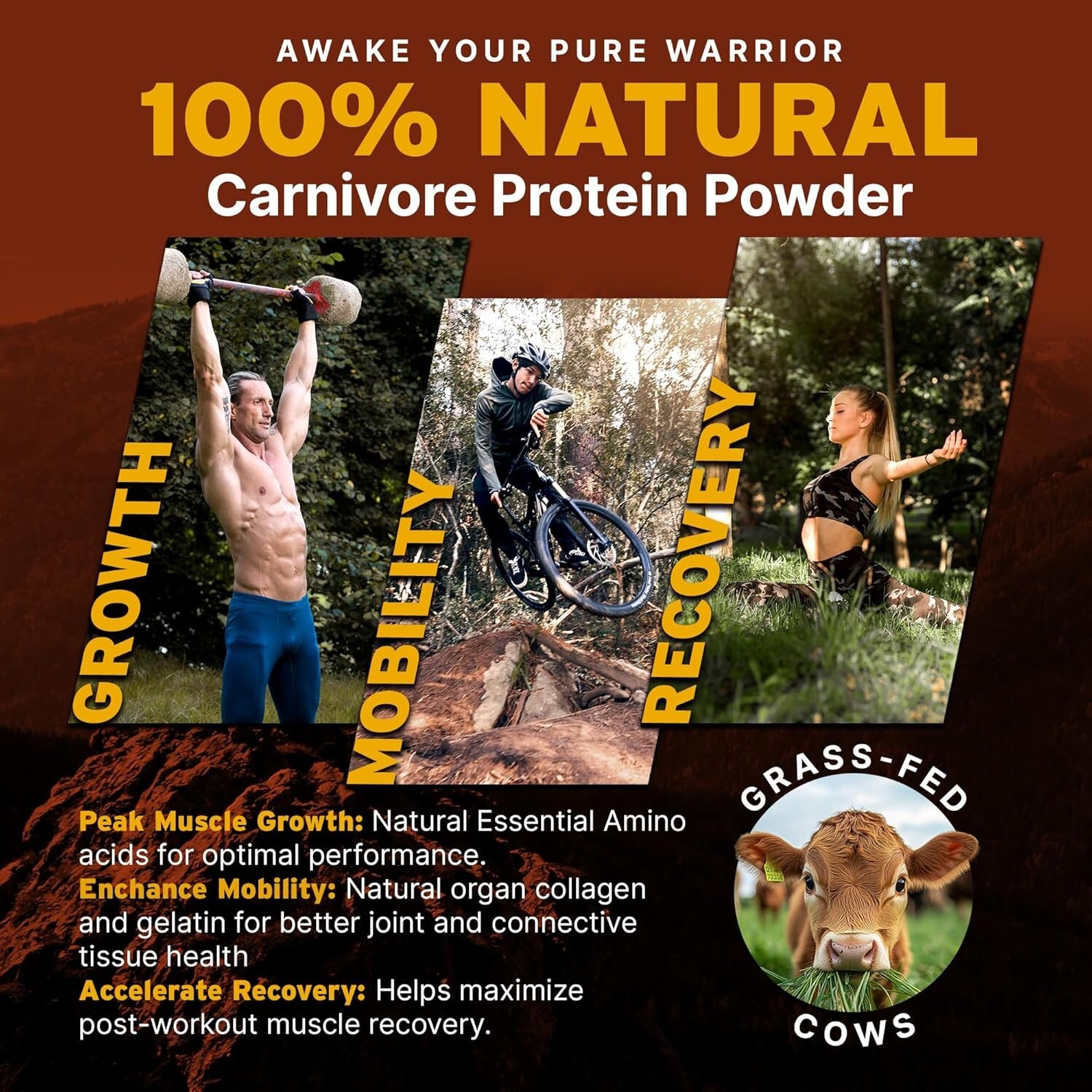 Carnivore Complete Keto Protein Powder – Ancient Cacao, Cage-Free & Grass-Fed