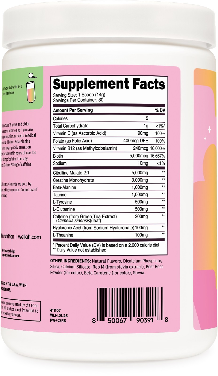 Wellah Pre-Workout + Creatine Powder (30 Servings) Rainbow Sherbert -3g Creatine