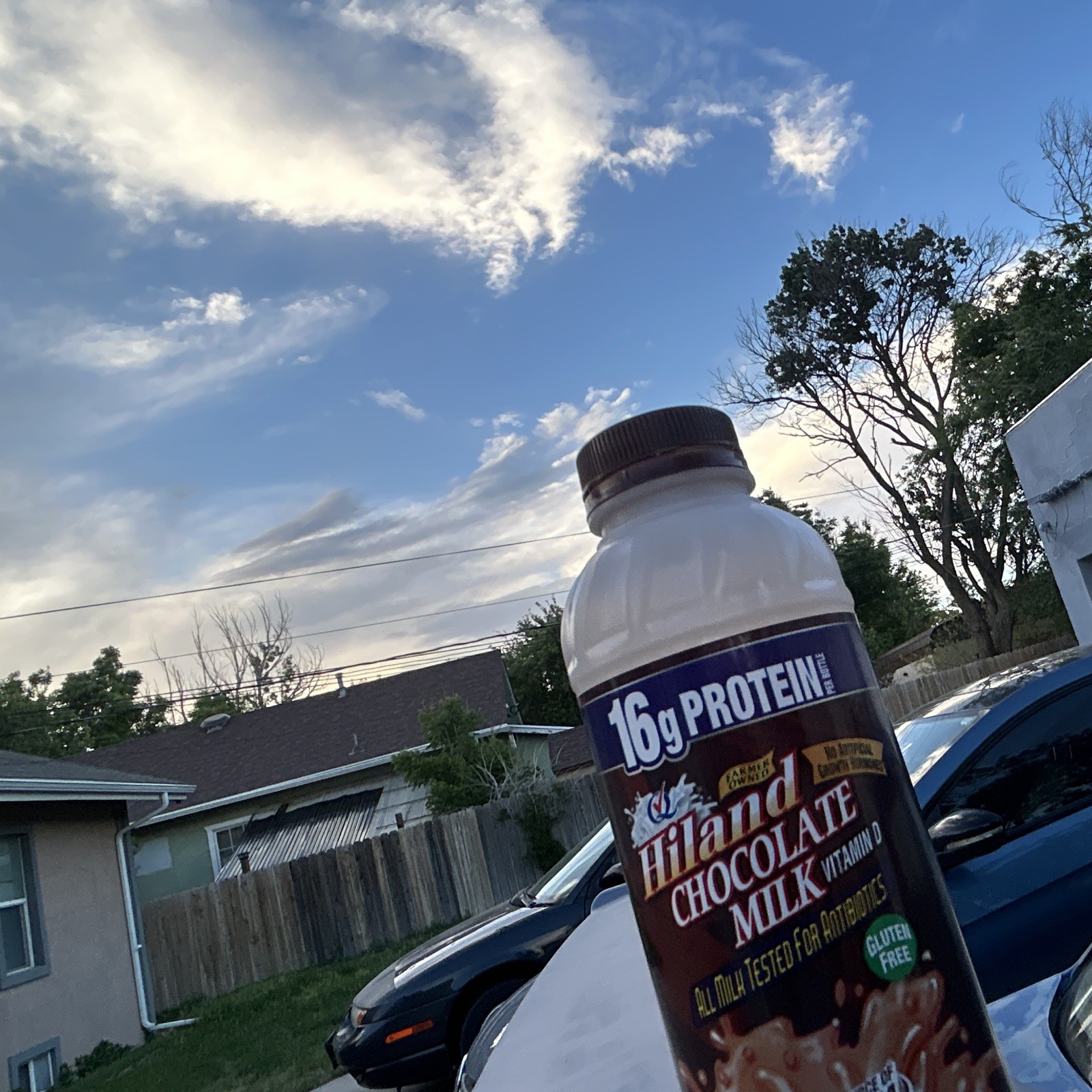 Hiland Chocolate Milk Drink 16 fl oz, 16g Protein, Gluten-Free Liquid