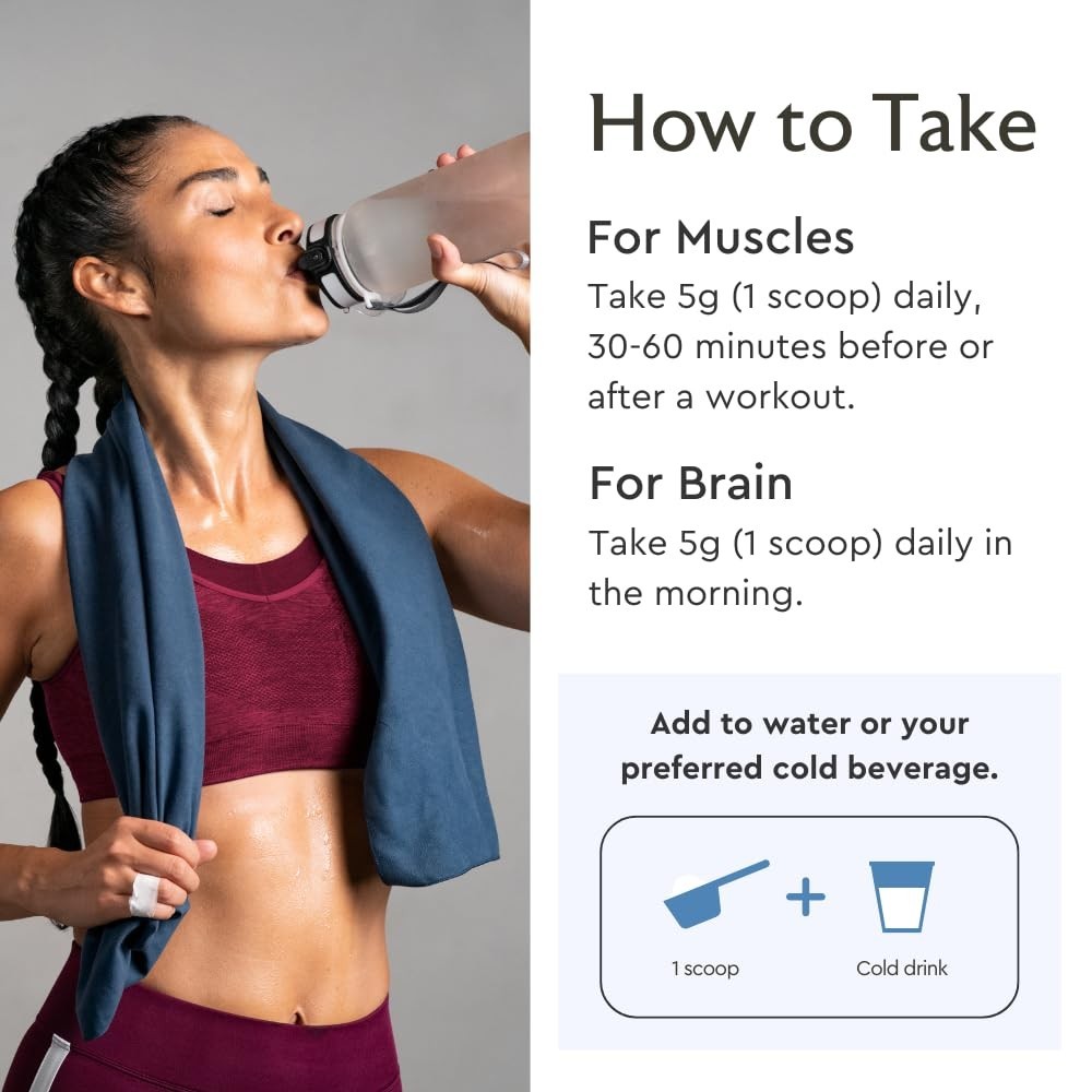 Micronized Creatine Monohydrate Powder – Vegan, Non-GMO, Muscle Growth Supplemen