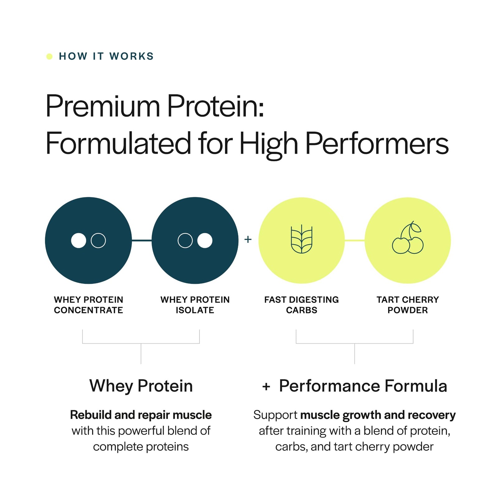 Gainful Performance Whey Protein Powder, 25g Protein per Serving, Unflavored,…