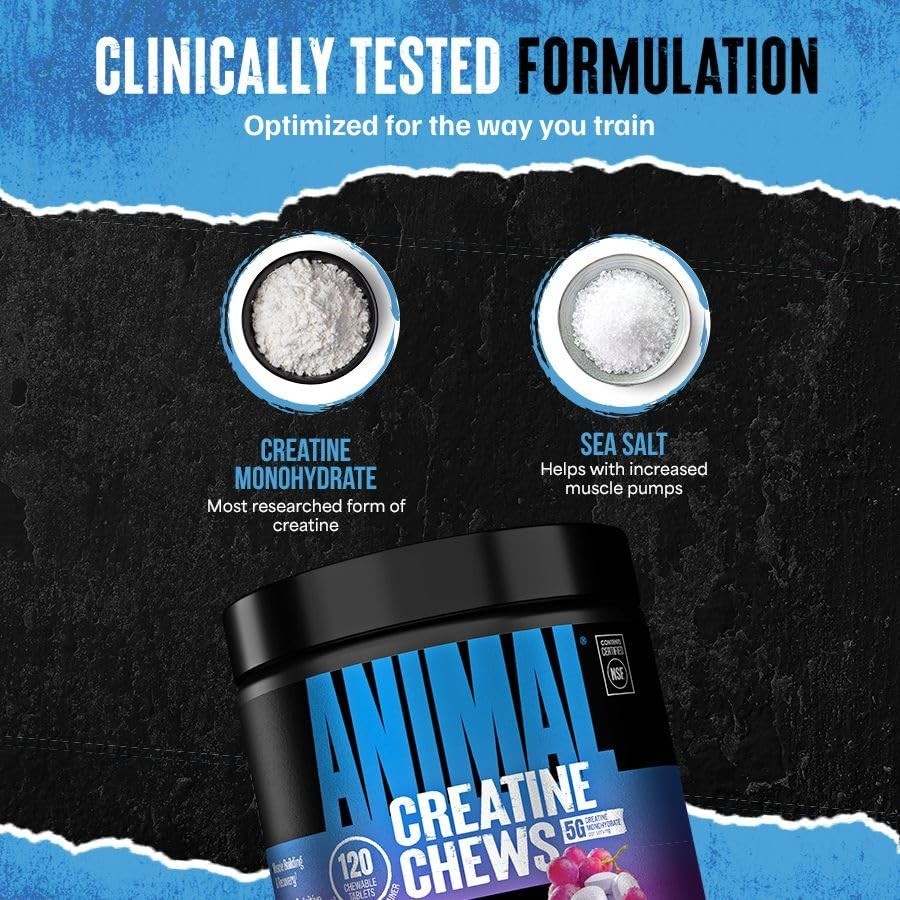 Creatine Chews 5g – Monohydrate Tablets for Strength, Power & Recovery – 120 Cou