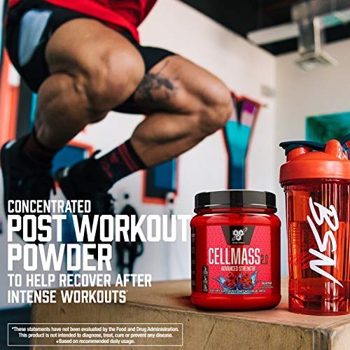Post Workout Creatine Powder BCAA Glutamine 5g Matrix Keto Friendly Arctic Berry