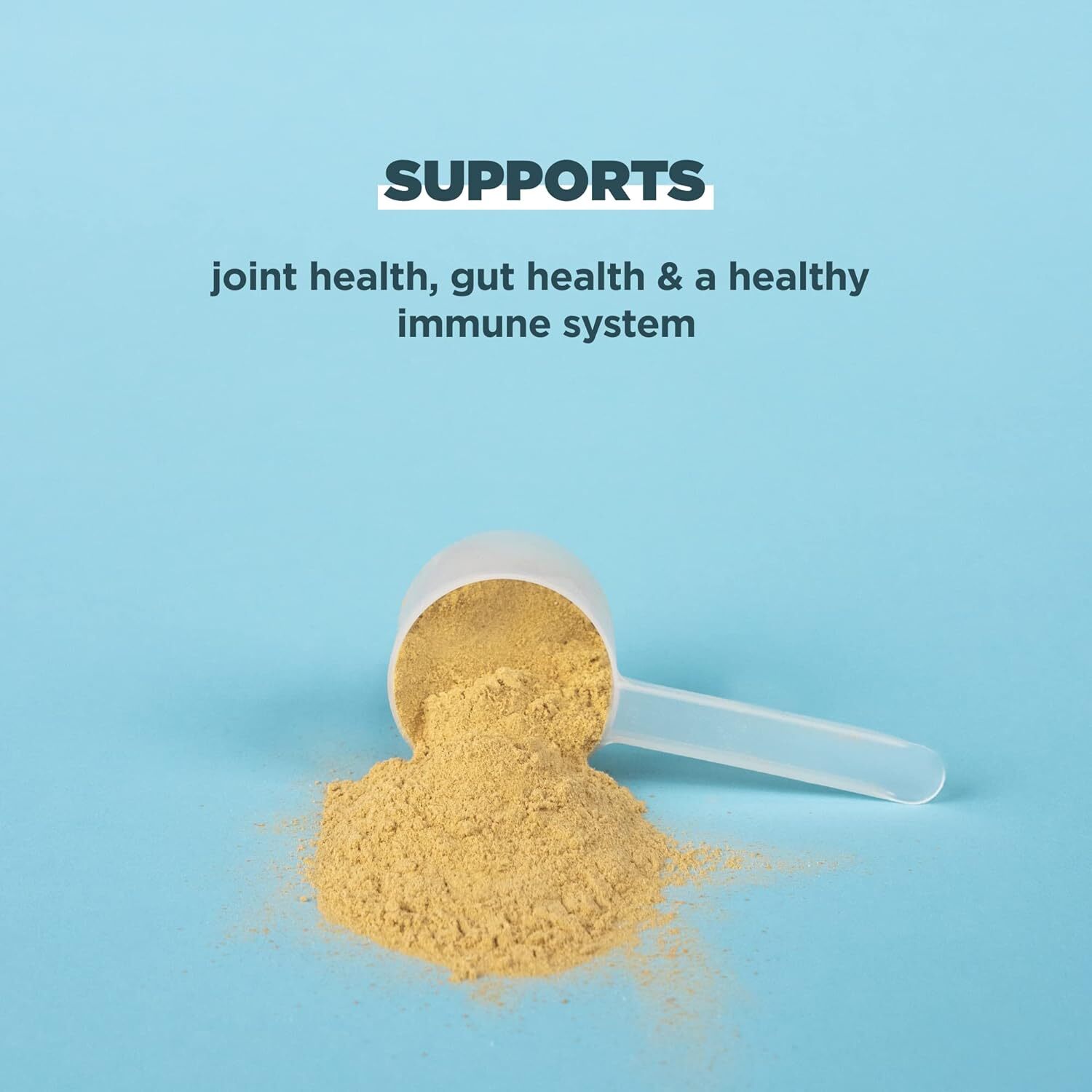 Ancient Nutrition Bone Broth Protein Powder Vanilla 17.4 Oz