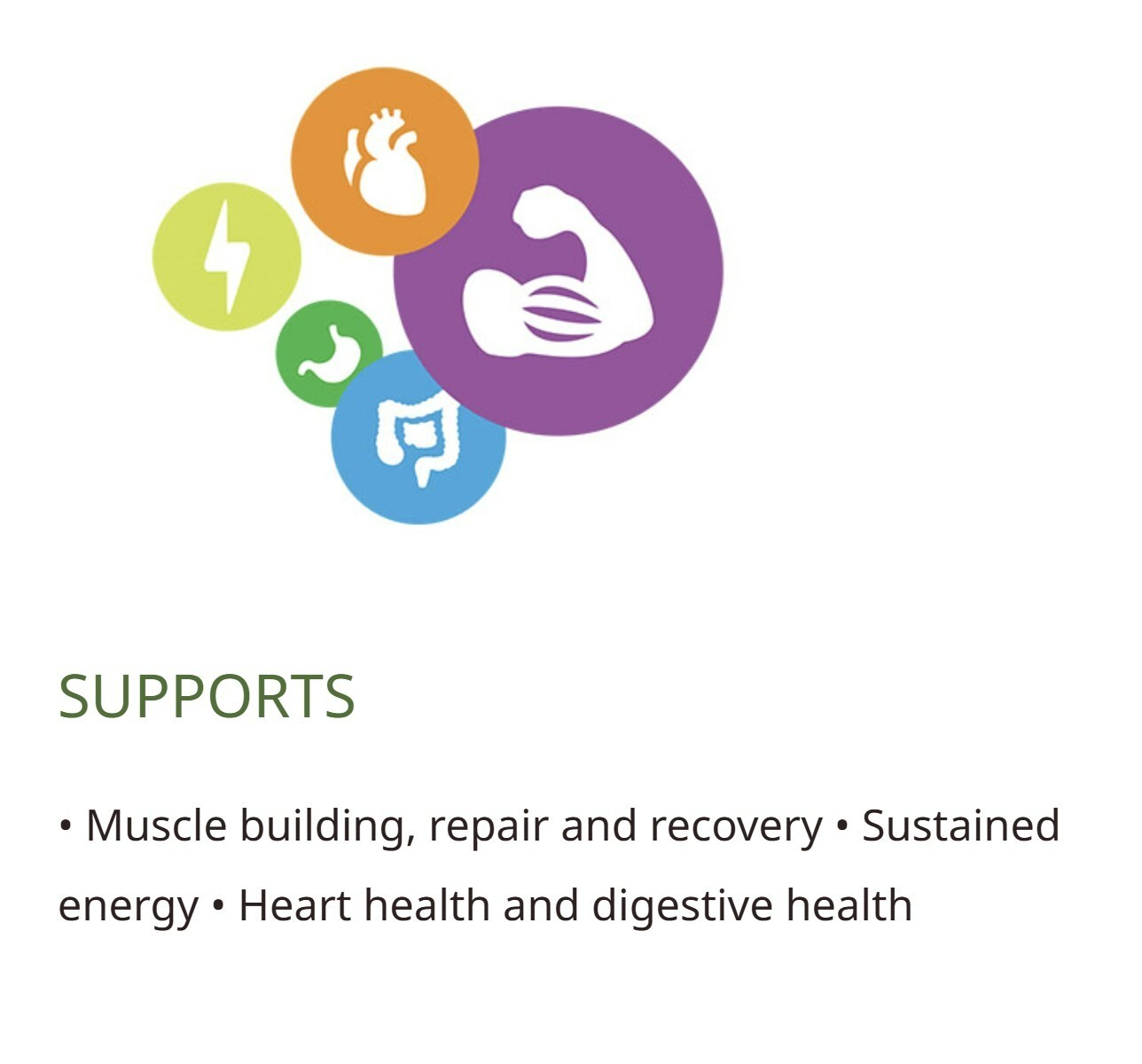 Performance Protein by NeoLife | Complete Protein For Muscle Building & Repair
