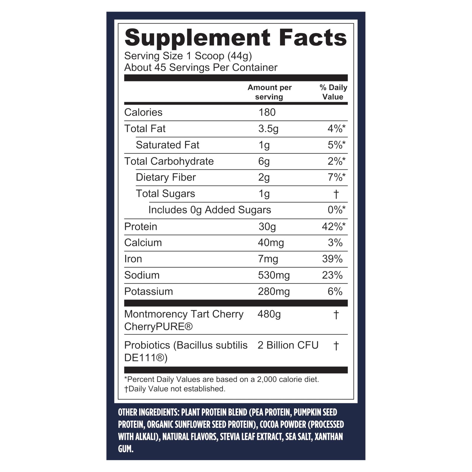 Vegan Protein Powder with BCAAs – 30g Plant-Based Per Serving, Chocolate Flavor