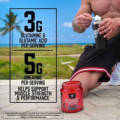 Post Workout Creatine Powder BCAA Glutamine 5g Matrix Keto Friendly Arctic Berry
