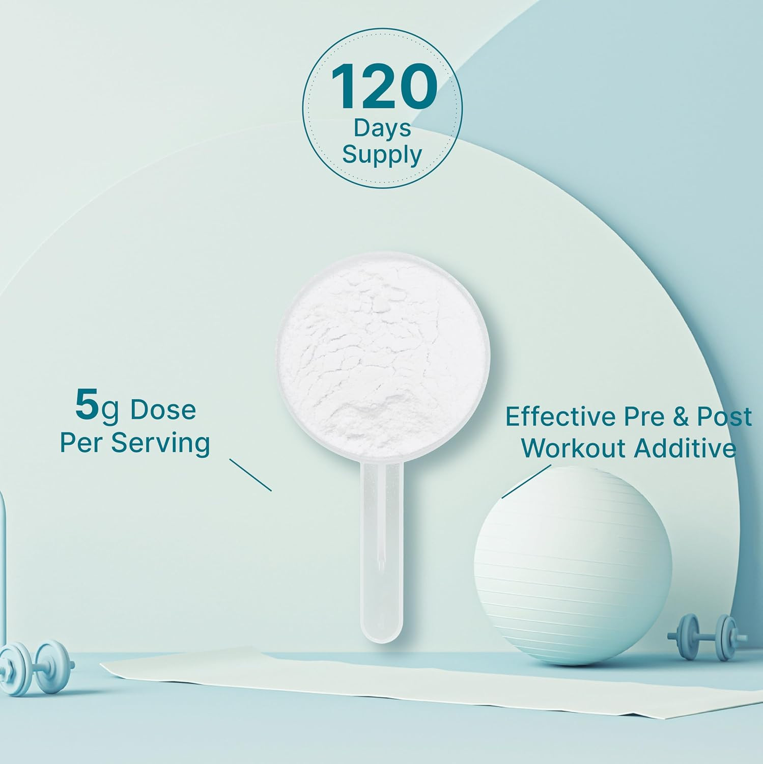 Creatine Monohydrate Powder 600 Grams (1.32Lb), Unflavored | Pure | Micronized