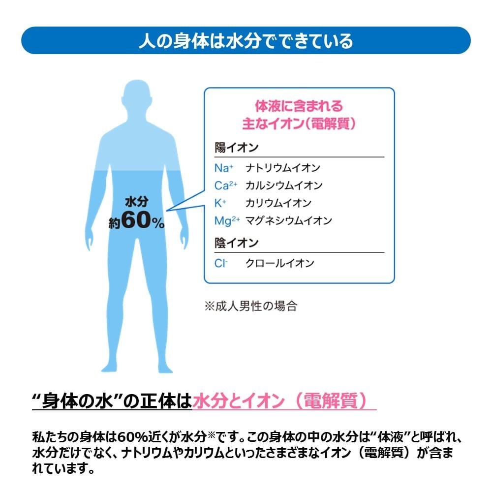 Otsuka Pocari Sweat Powder 26.10oz(740g) For 10l Pack Of 2packs from JAPAN