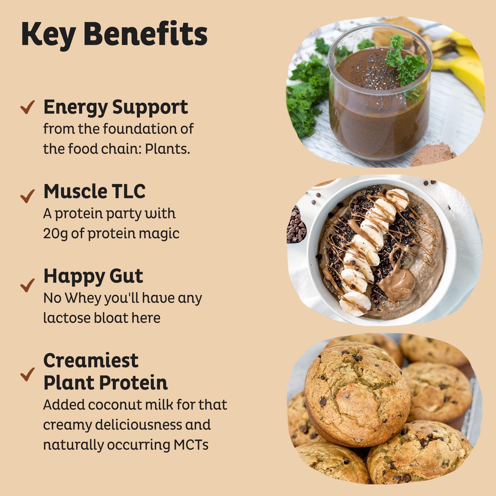 KOS Organic Plant Based Protein Powder, 20.6 Ounce (Pack of 1), No Color