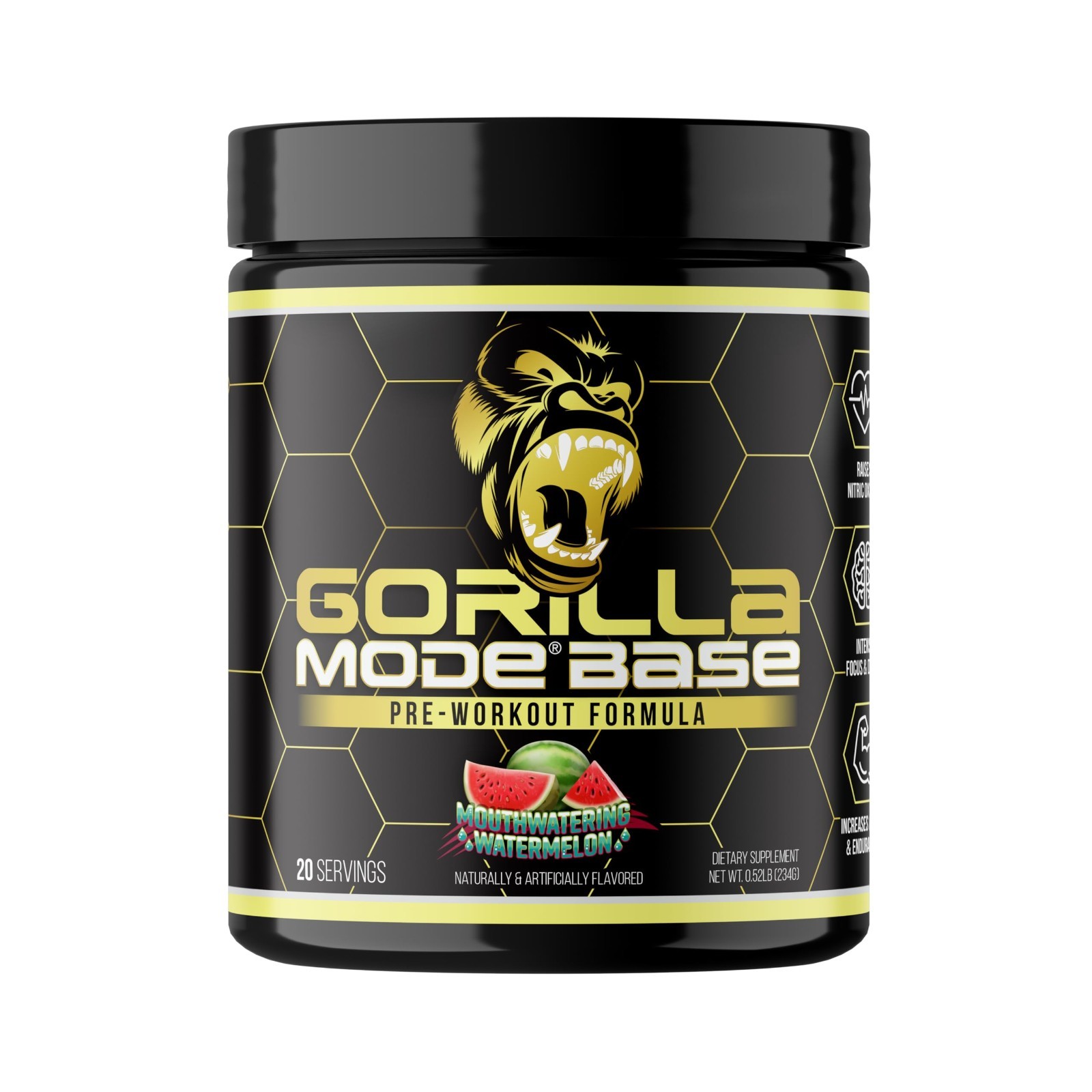 Pre Workout Powder for Energy & Focus – Nitric Oxide Boost, Endurance, Caffeine