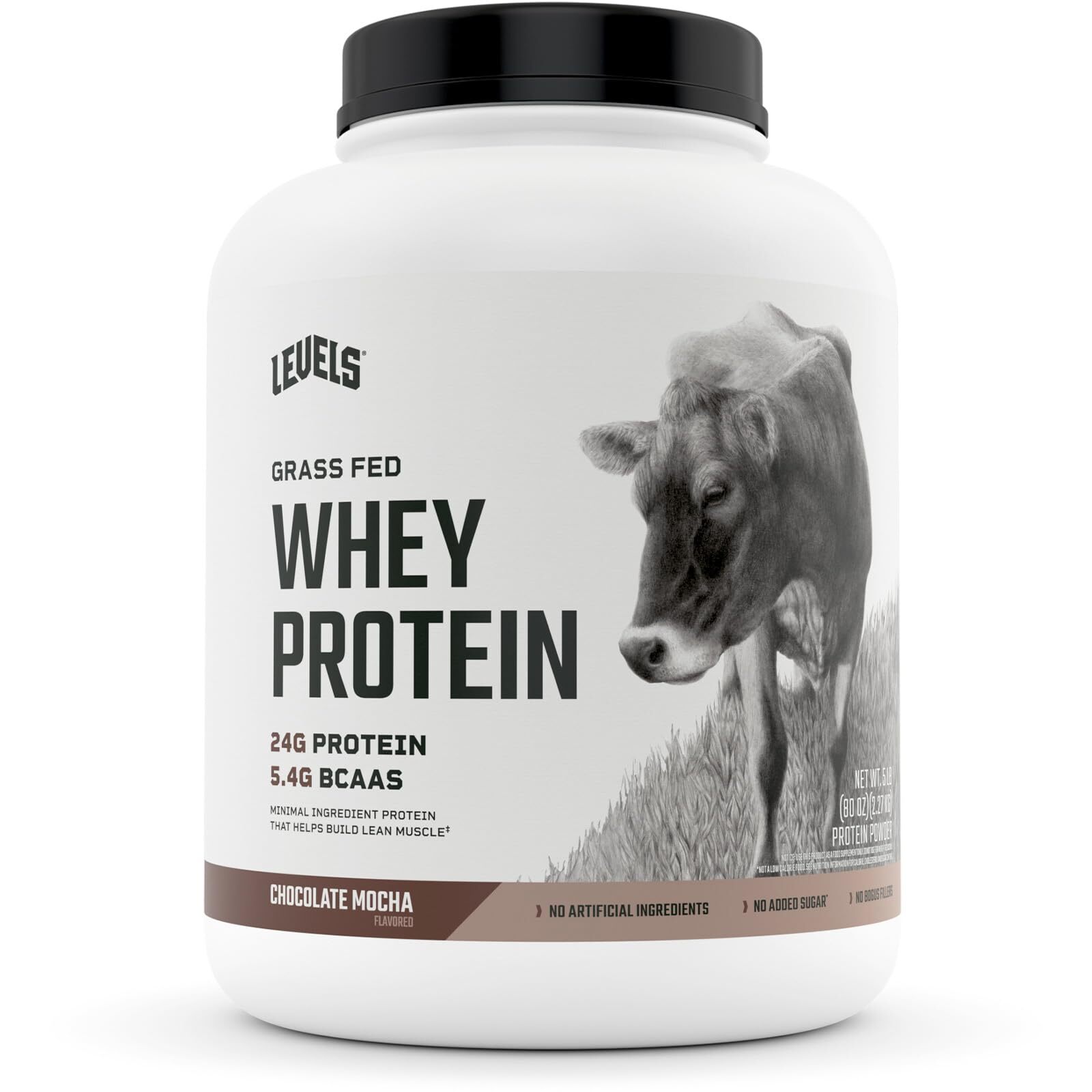 Levels Chocolate Mocha Whey Protein Powder 71 Servings 24g Protein per Scoop