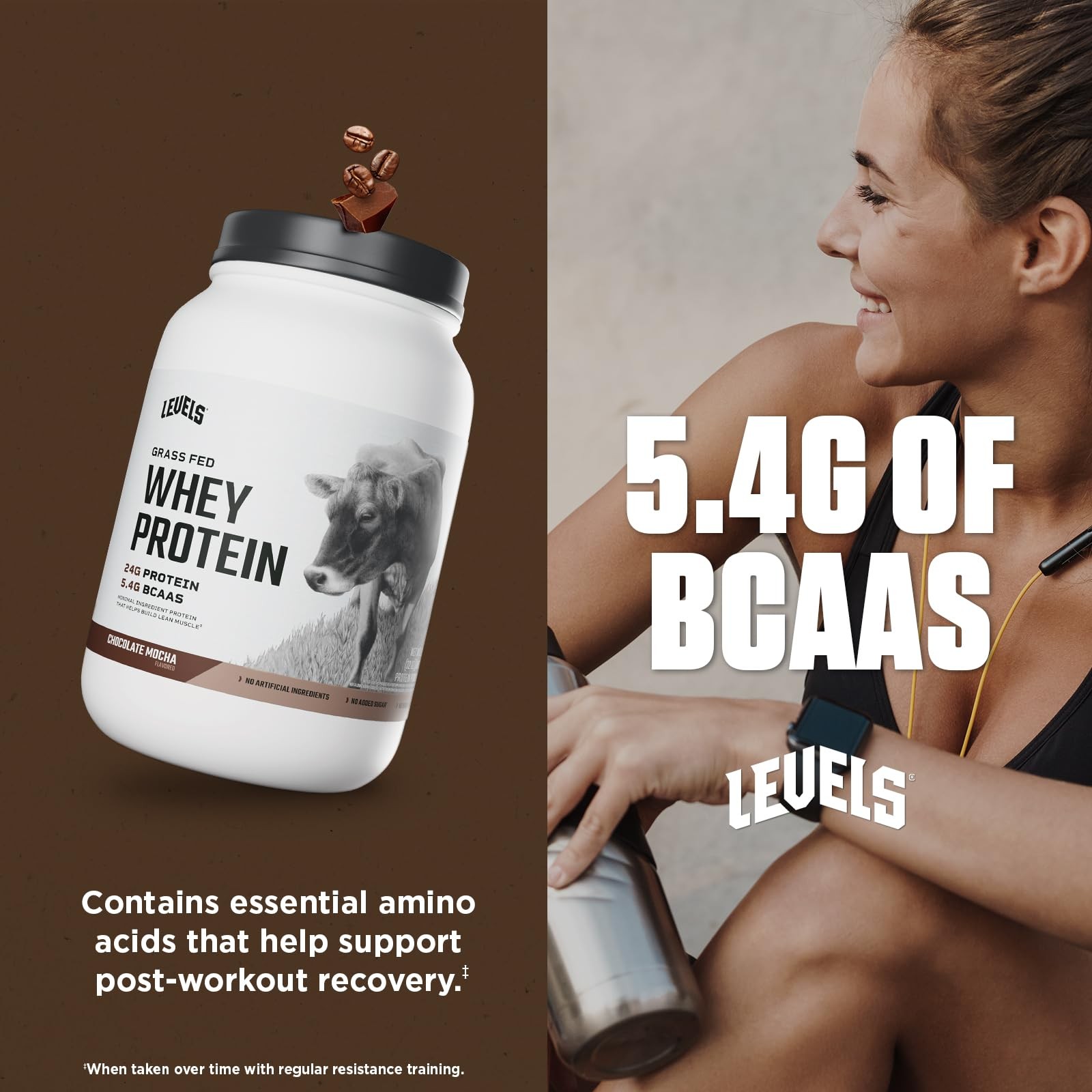 Levels Grass Fed Whey Protein Powder No Artificials 24G of Protein Chocolate …
