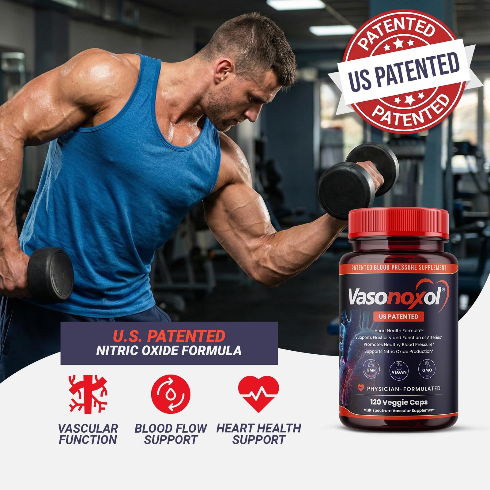 Panoxol Vasonoxol U.S. Patented Nitric Oxide Supplement For Blood –