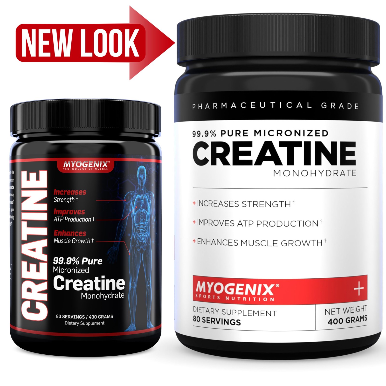 Myogenix Creatine Monohydrate – Pure Creatine Powder for Strength & Endurance…