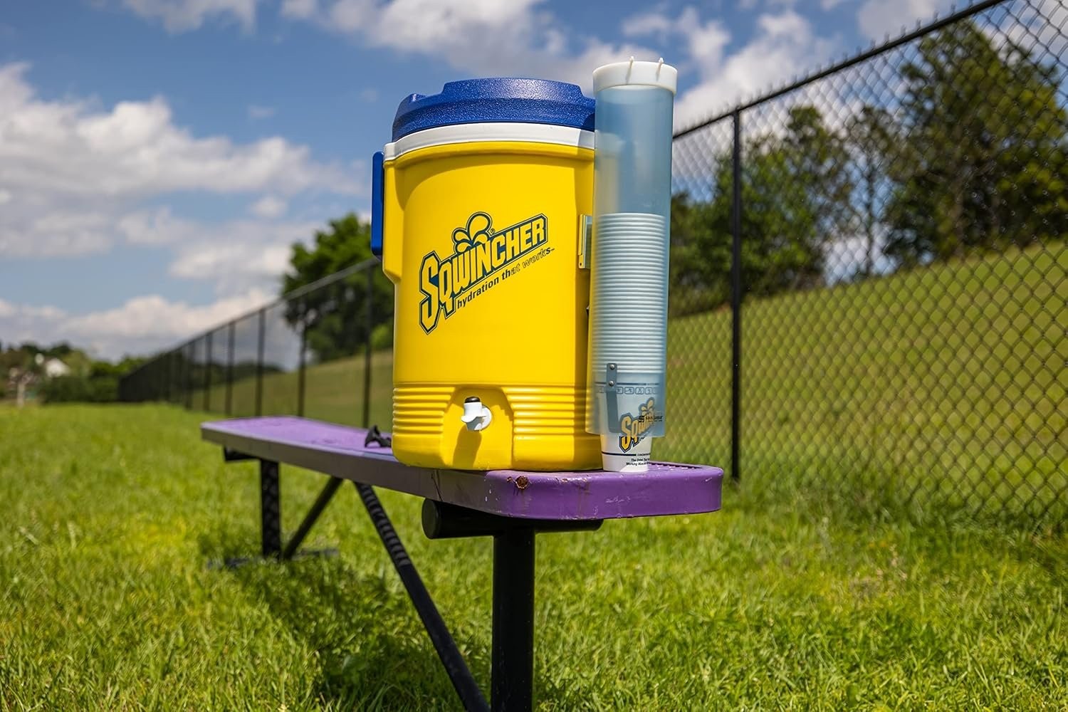 Sqwincher 3039 LL-ZERO Hydration Liquid Concentrate Lemon/Lime 64Oz.