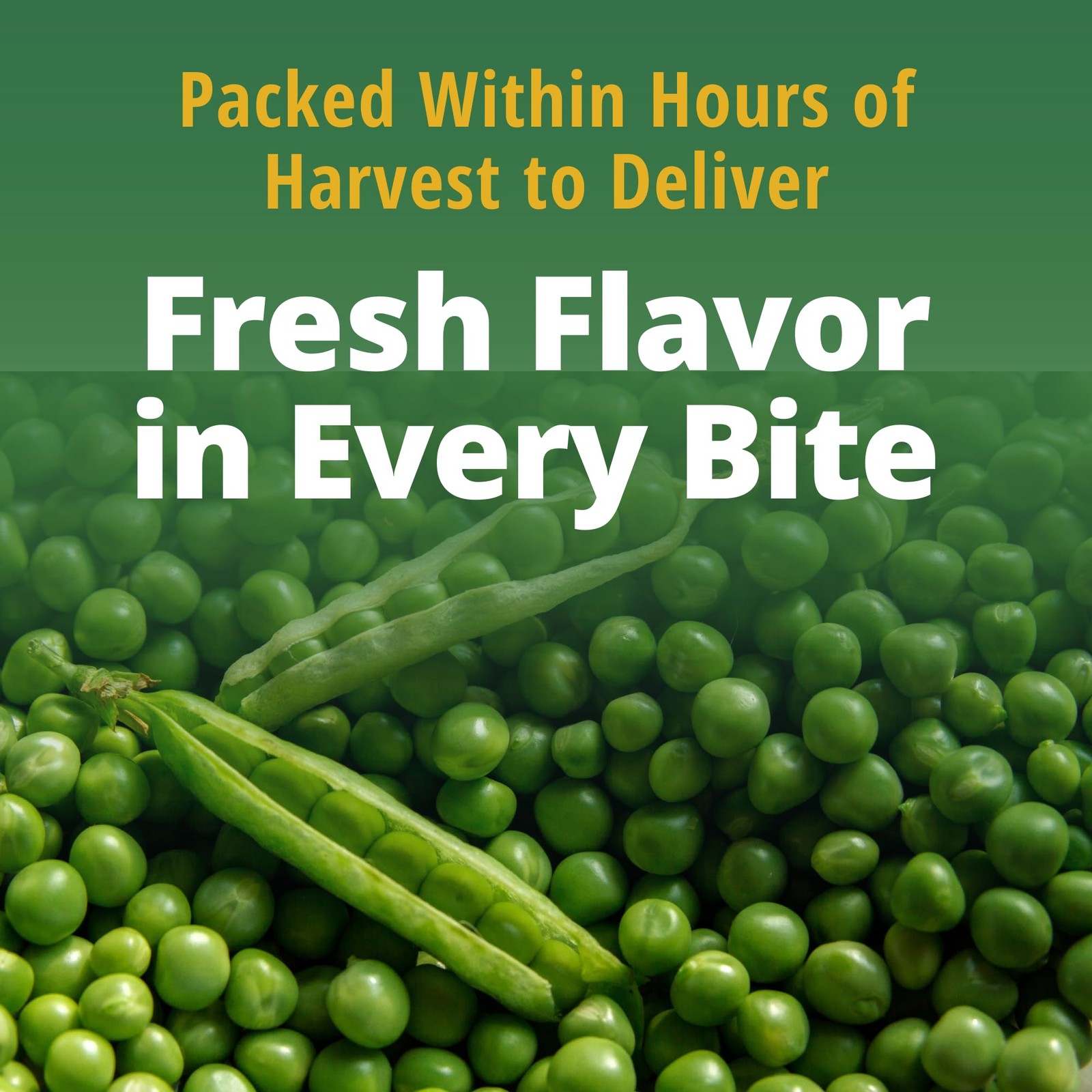 Del Monte Very Young Sweet Peas, 8.5 oz, Can 12 Pack