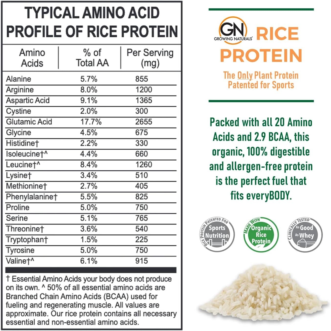 Growing Naturals Organic Premium Rice Protein Powder, Vanilla Blast, 23 Servings