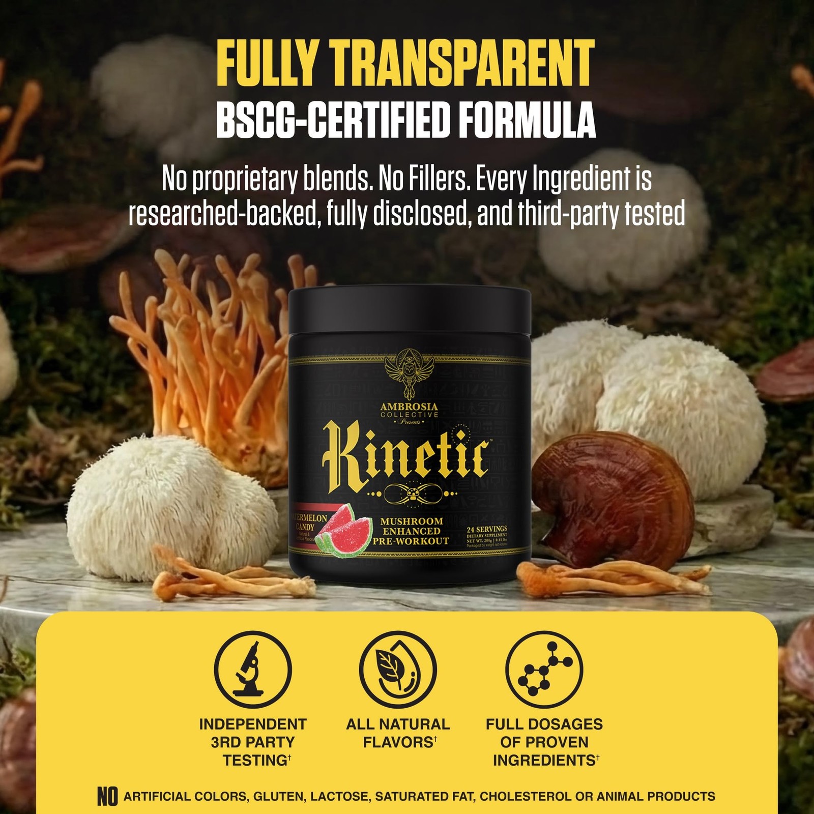Ambrosia Kinetic – Organic Pre Workout Powder | Mushroom-Enhanced Natural Pre…