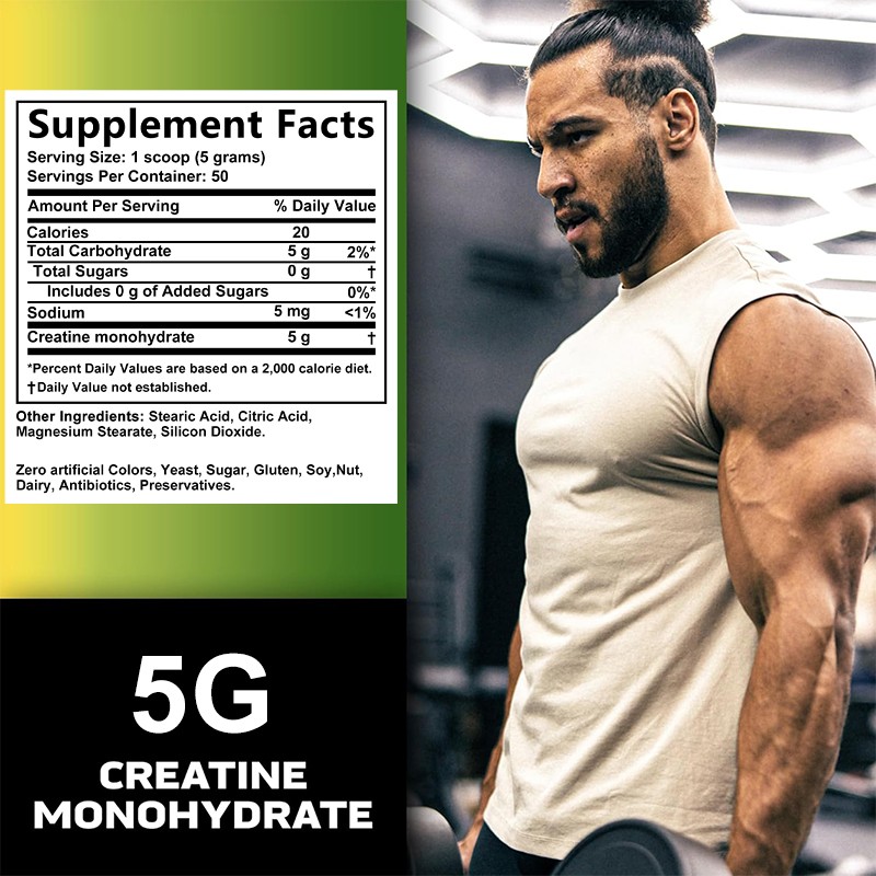 Creatine Monohydrate Powder Improve Muscle Strength Enhance Cognitive Function