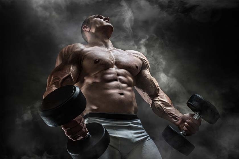 Protein Powder – L-CARNITINE 510mg – Muscle Gain Supplement – 2 Bottles