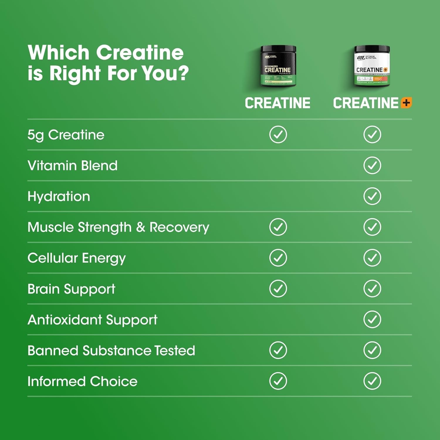 120 Servings of Micronized Creatine Monohydrate – Supports Strength and Recovery
