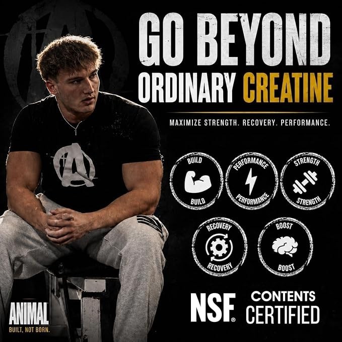 Animal Creatine Monohydrate Powder — Micronized for Muscle Recovery, Cellular En