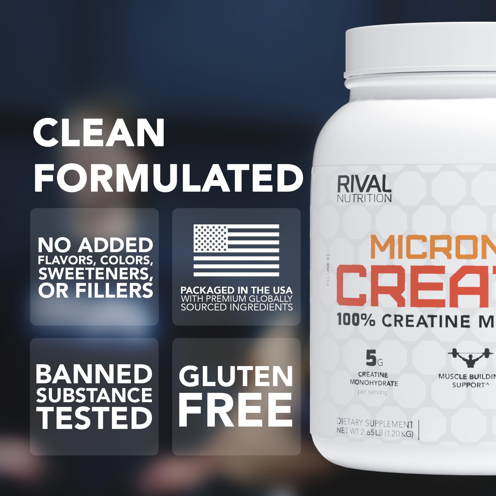 Micronized Creatine I 100% Creatine Monohydrate Powder I Unflavored, 240 Serv…