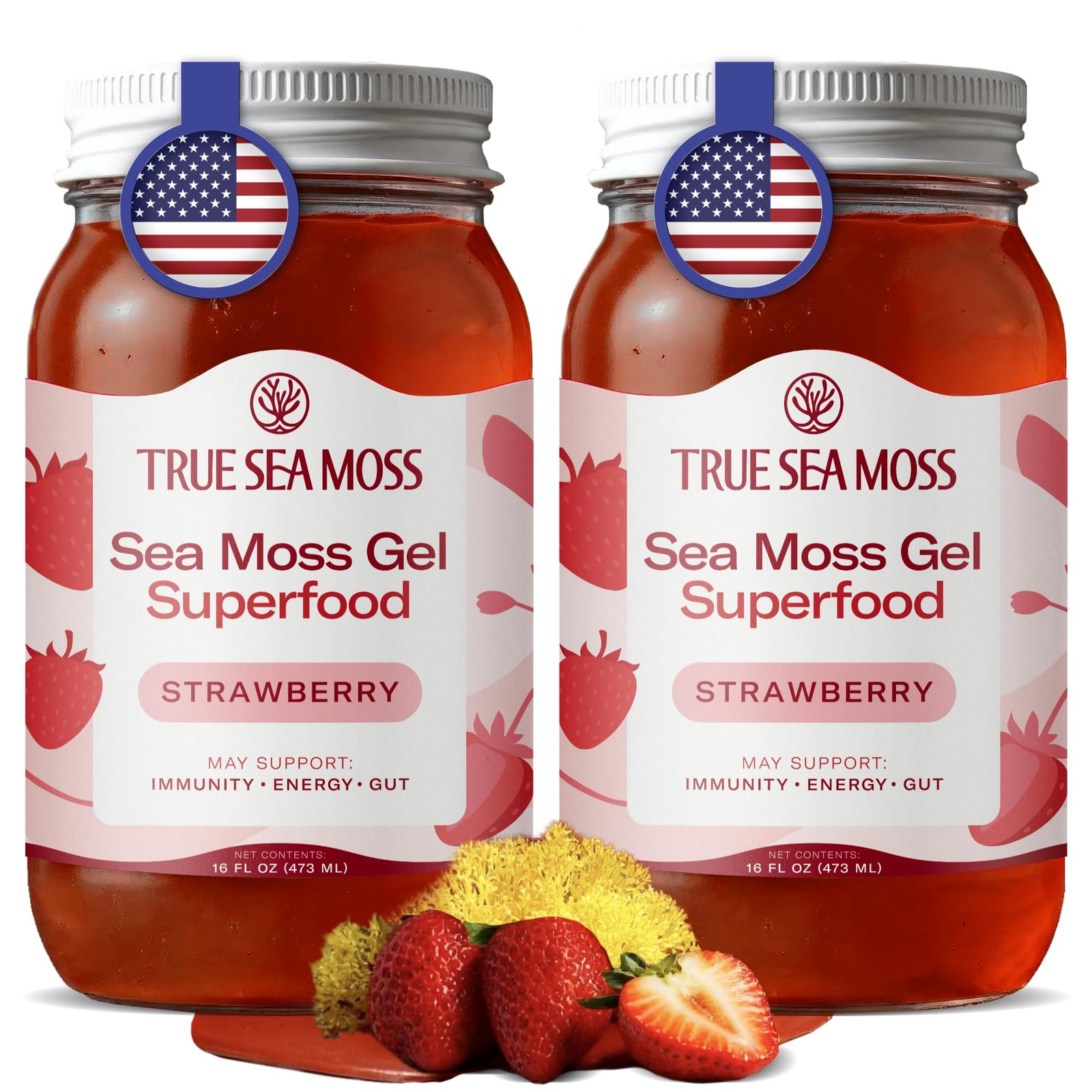 TrueSeaMoss Sea Moss Gel – Made in USA – Wildcrafted 16 Fl Oz (Pack of 2)
