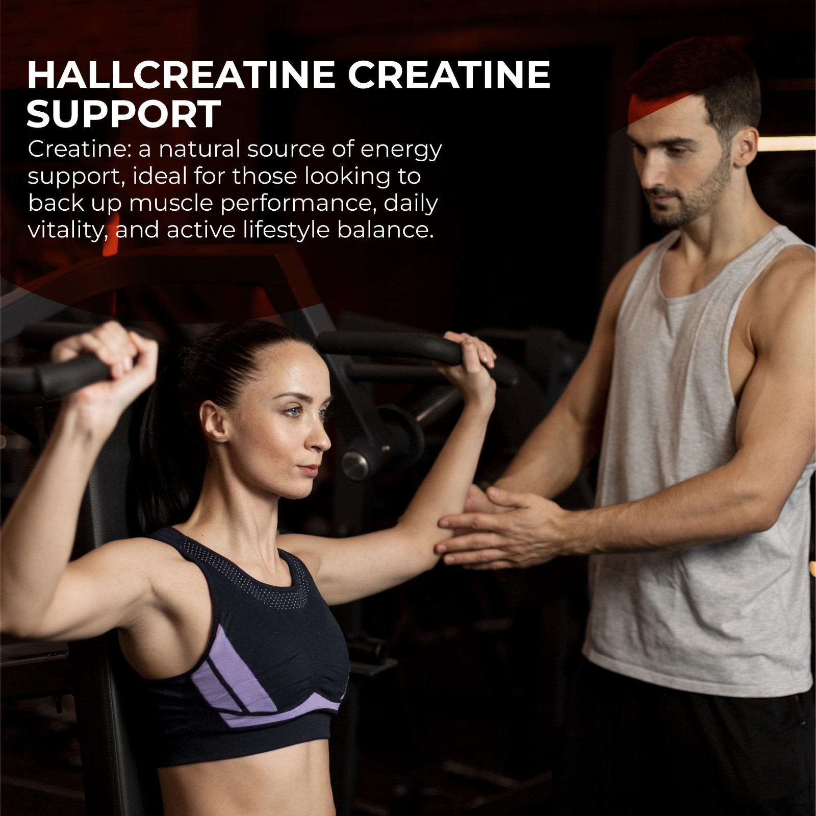 CREATINE Monohydrate – Amino Acid – Preworkout – Support Muscles – 60