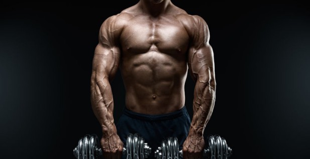 workout men – CREATINE 300G 100% Pure 2B – recovery kit