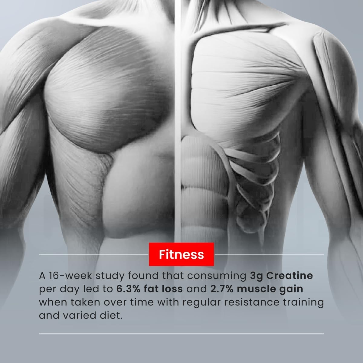 Creatine [257g, 83 Servings]| Sex On The Beach | Micronized Creatine Monohydrate