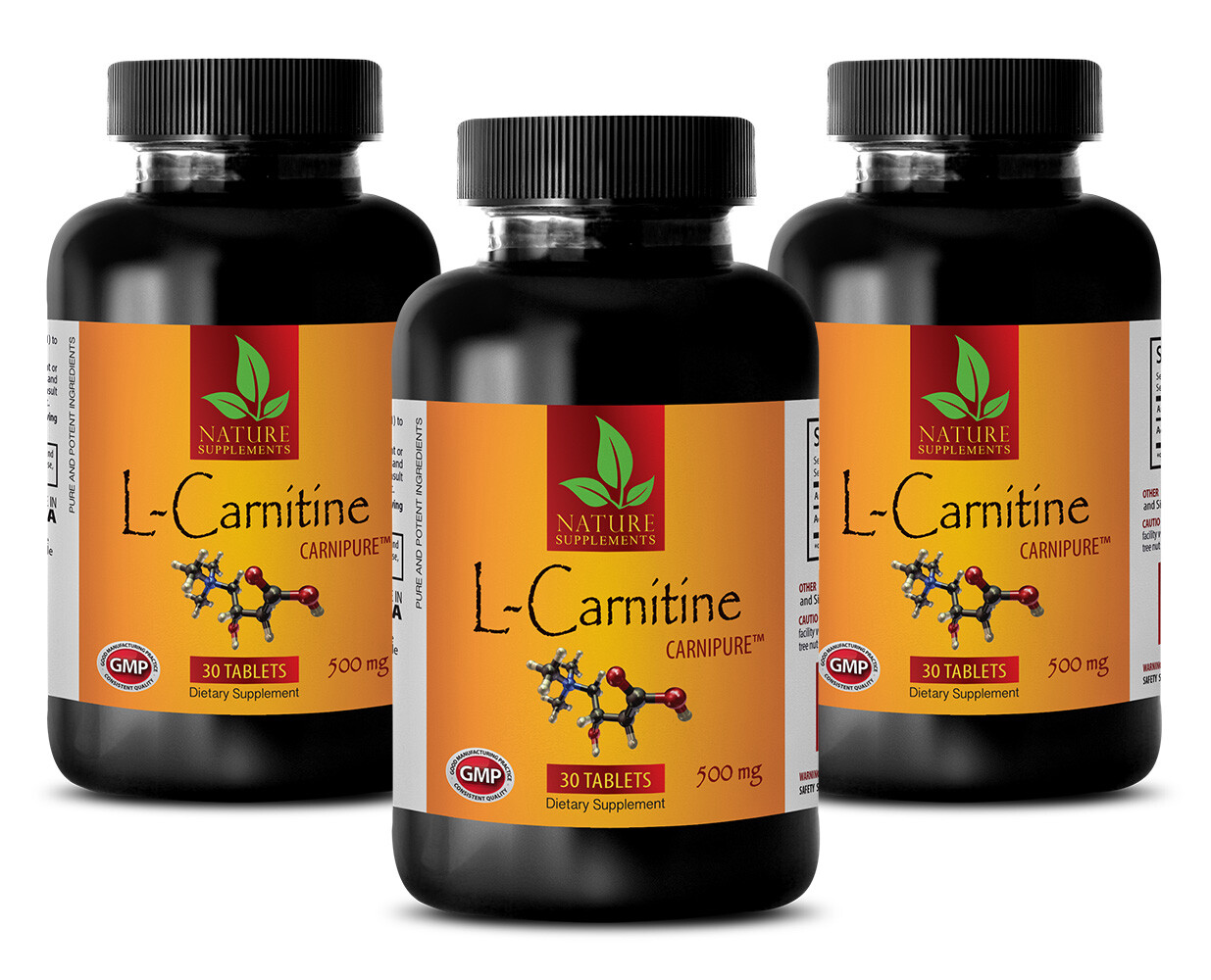 L-Carnitine. Promotes Muscle Endurance & Recovery. Increase Energy (3 Bottles)