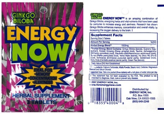 2 Energy Now Herbal Supplements Ginkgo Biloba 48 Packs 3 Pills In Each Pack