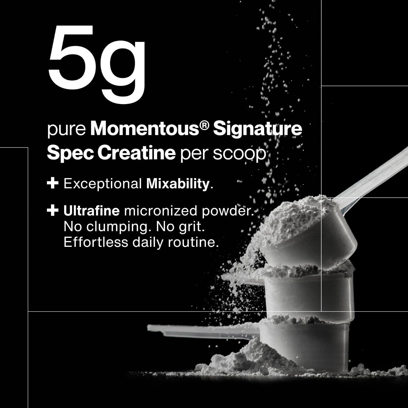 Creatine Monohydrate Powder 5g | Unflavored, Lean Muscle, Strength & Recovery, N