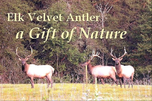 Increases Sexual Performance Caps – Elk Velvet Antler Complex 550mg – IGF-3 2B