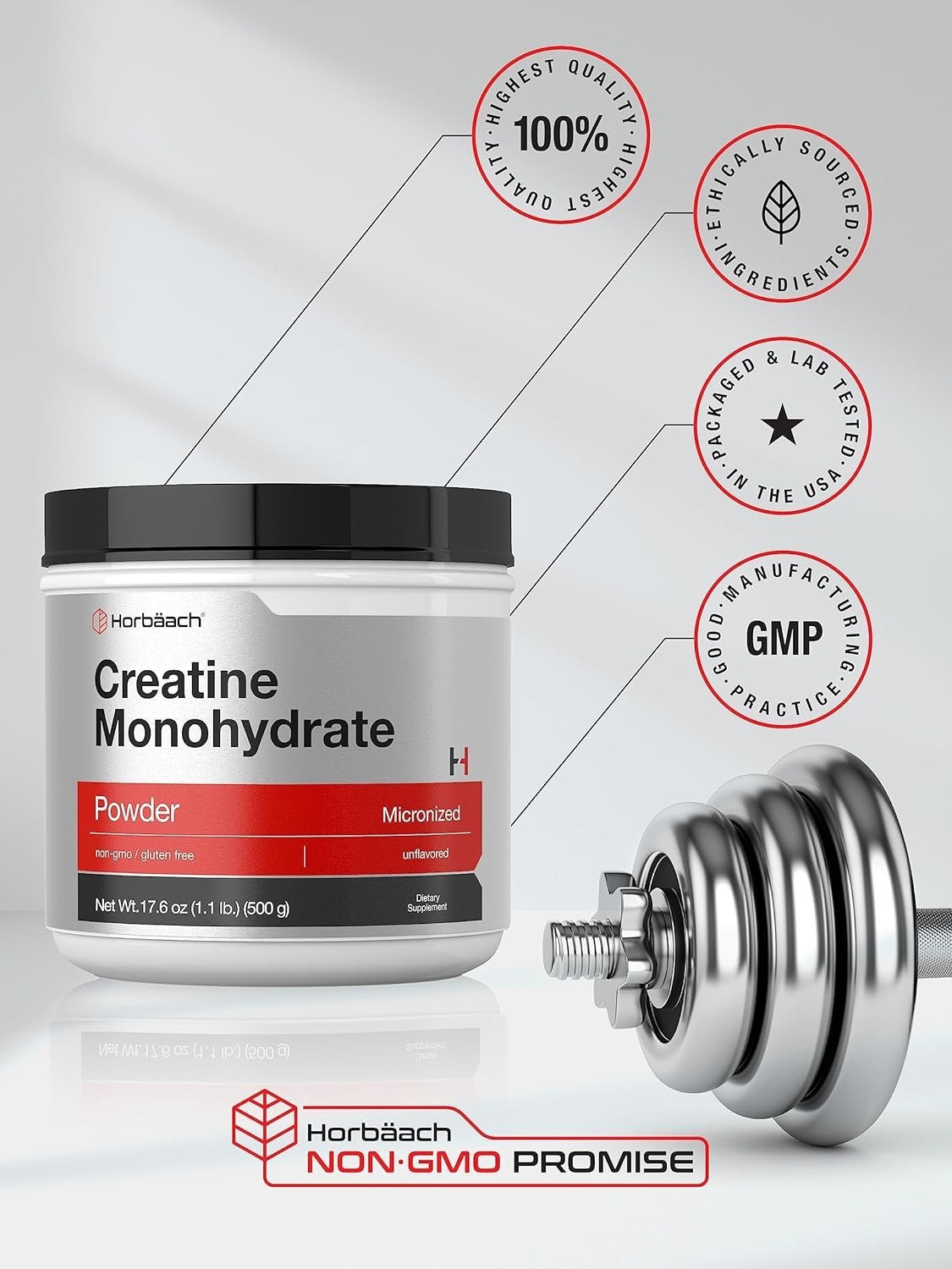 Micronized Creatine Monohydrate Powder 1.1lb – Gluten Free & Vegetarian
