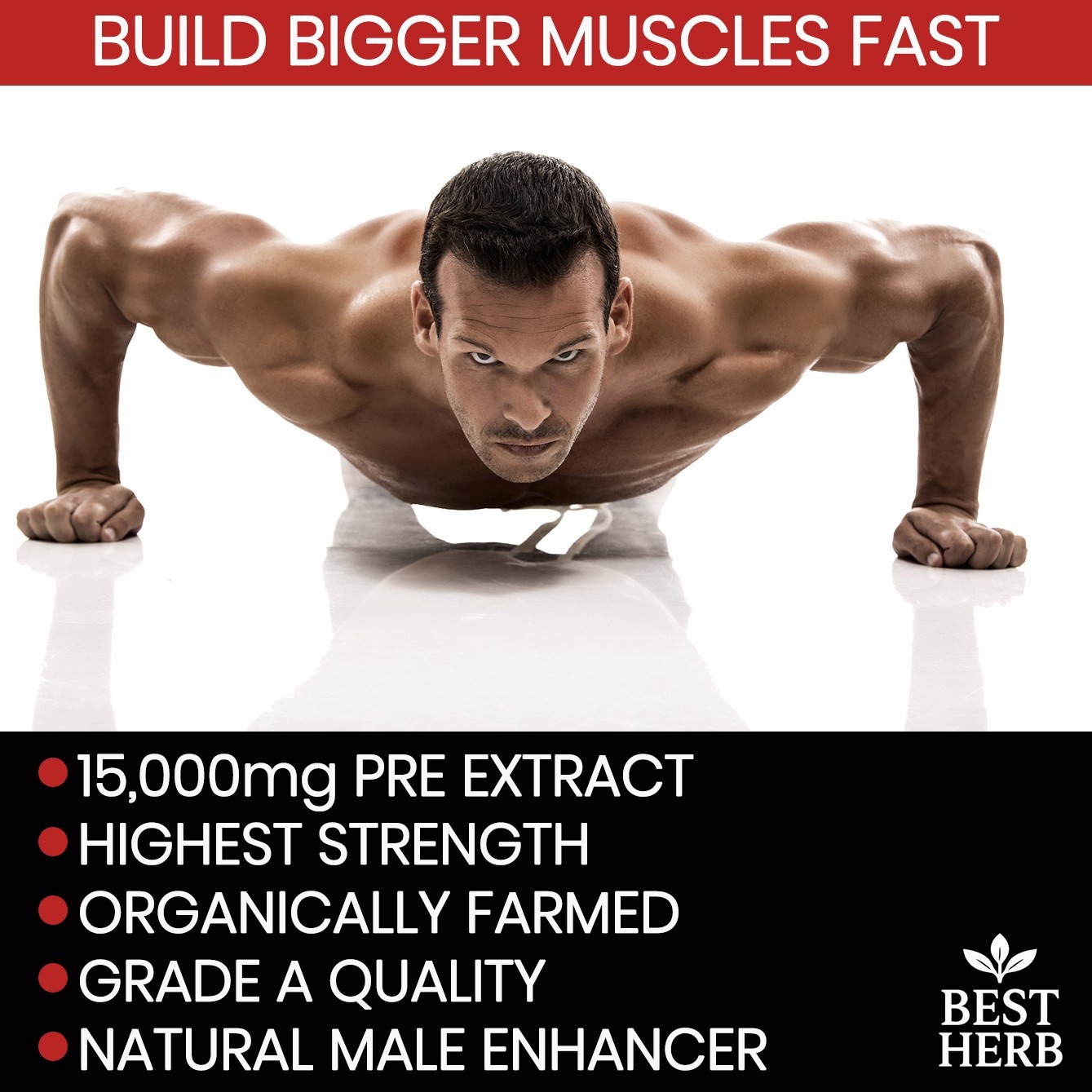 360 TRIBULUS TERRESTRIS PILLS STRONGEST BIGGER MUSCLES BODYBUILDING TESTOSTERONE