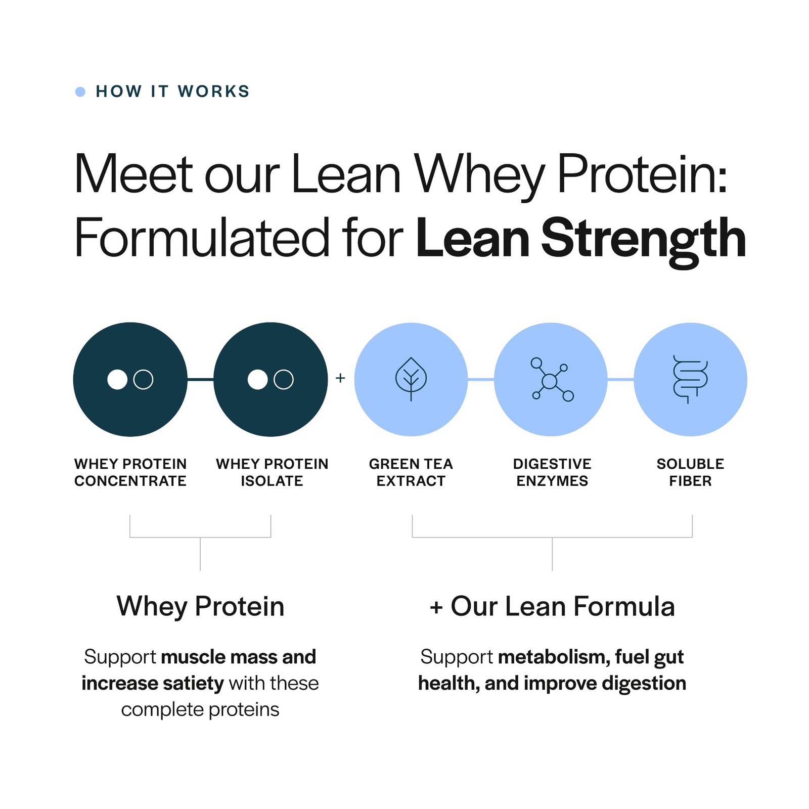 Gainful Lean Whey Protein Powder with 20g Protein per Serving, Unflavored, Su…