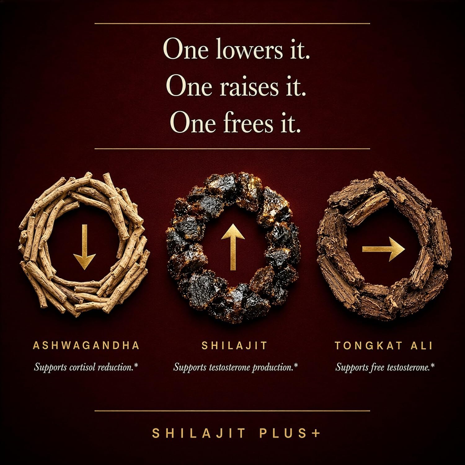 TWO PACK Highest Potency Black Shilajit for Men – Natural Test Booster