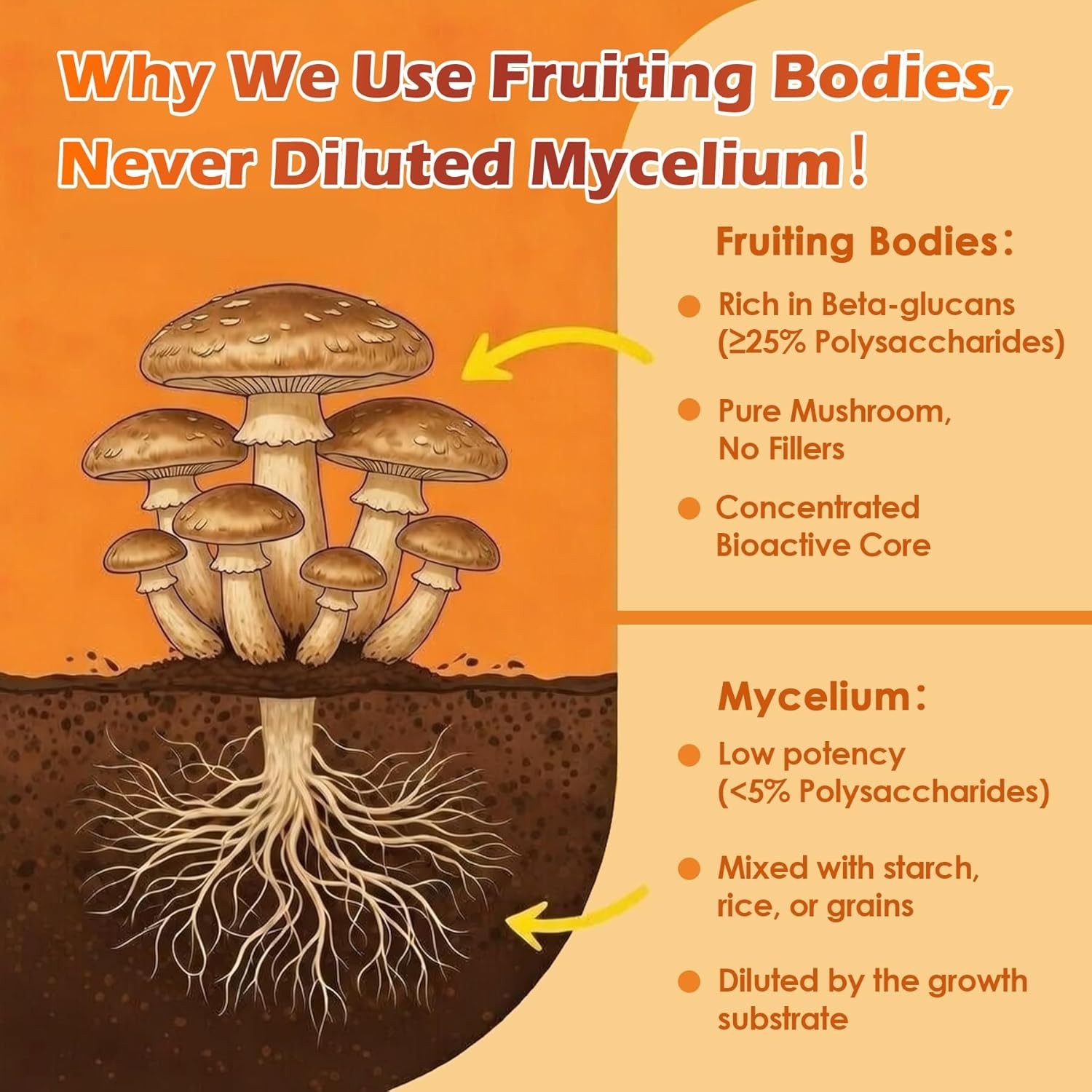 12-In-1 Mushroom Gummies w/ Lion’s Mane, Caffeine & L-Theanine, Nootropic Brain