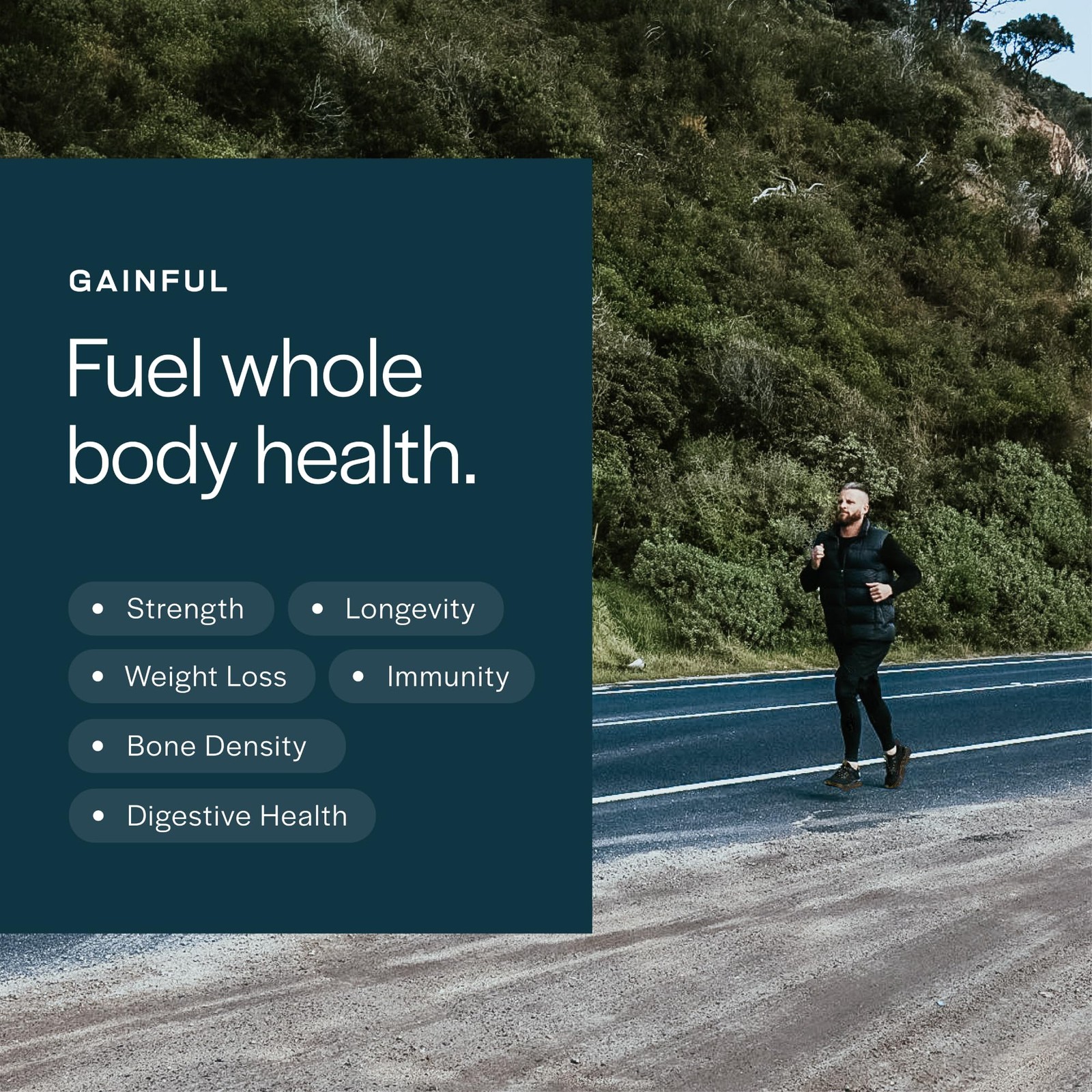Gainful Everyday Whey Protein Powder, 23g Protein per Serving, Unflavored, Su…