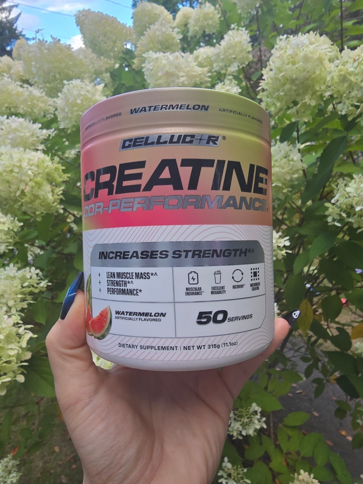 COR-Performance Creatine – Watermelon (50 Servings)