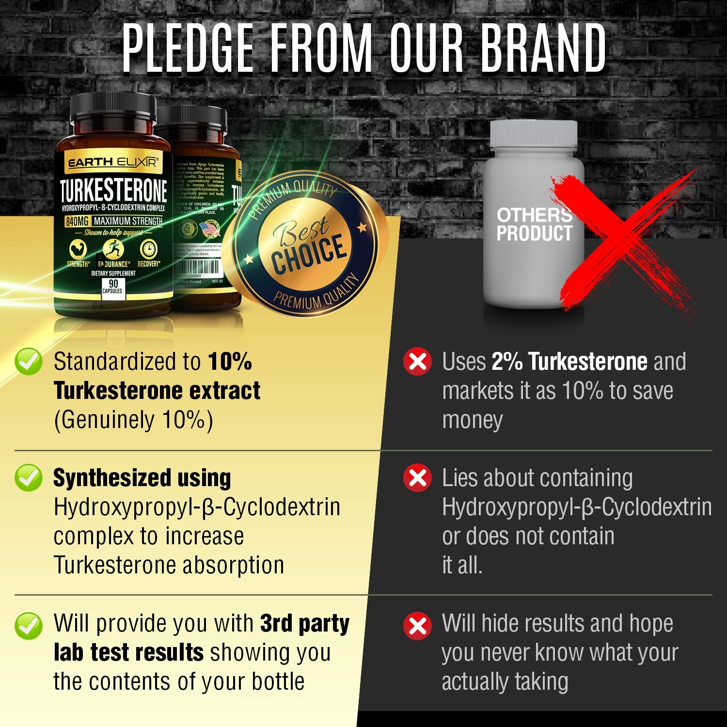 Earth Elixir Turkesterone 840 mg (90 Capsules) Std. to 10%,