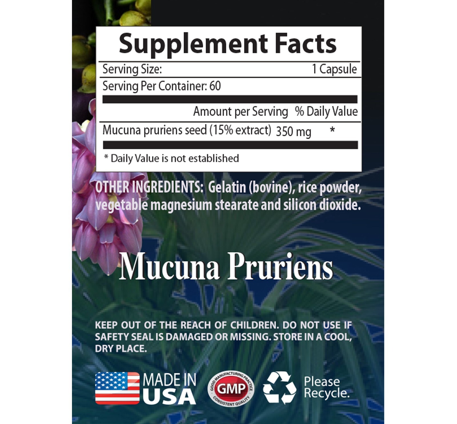 Brain Supplement MUCUNA PRURIENS VELVET BEANS EXTRACT- MOOD SUPPORT (1 Bottle)