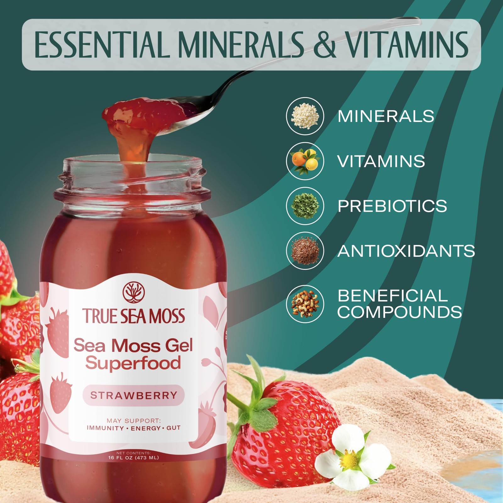 TrueSeaMoss Sea Moss Gel – Made in USA – Wildcrafted 16 Fl Oz (Pack of 2)